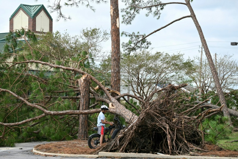 Un arbre arraché par la tempête Isaias à Gulf Breeze, en Floride, le 10 octobre 2026 ( AFP / RONALDO SCHEMIDT )