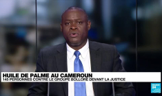 Cameroun : le groupe Bolloré accusé de non respect des droits environnementaux dans ses plantations d'huile de palme