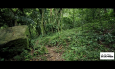 Aïssa Maïga invitée du JTA