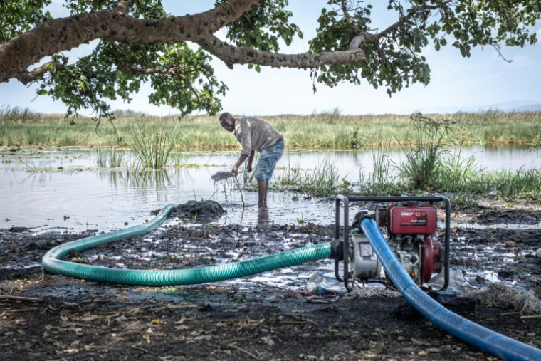 Un homme répare un tuyau relié à un générateur qui pompe l'eau du lac Dembel vers l'un des nombreux champs cultivés le long de ses rives, le 20 mai 2025 à Batu, en Ethiopie ( AFP / Marco Simoncelli )