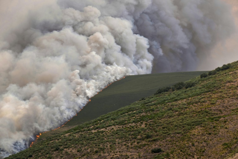 Un incendie de forêt à Castrillo de Cabrera, dans le nord-ouest de l'Espagne, le 16 août 2025 ( AFP / Cesar Manso )