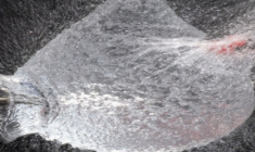 Lancement d’une nouvelle SCPI par La Française REM : LF Avenir Santé