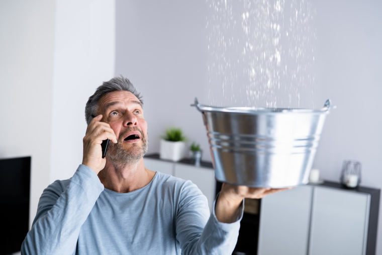 L’assurance habitation, essentielle pour les locataires et propriétaires, fait l’objet d’une analyse approfondie par France Assureurs sur les sinistres et leur impact. (© Andrey Popov - stock.adobe.com)