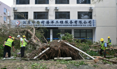 Des ouvriers coupent et enlèvent un arbre tombé à la suite du passage du super typhon Ragasa à Yangjiang, dans la province du Guangdong, dans le sud de la Chine, le 25 septembre 2025 ( AFP / ADEK BERRY )