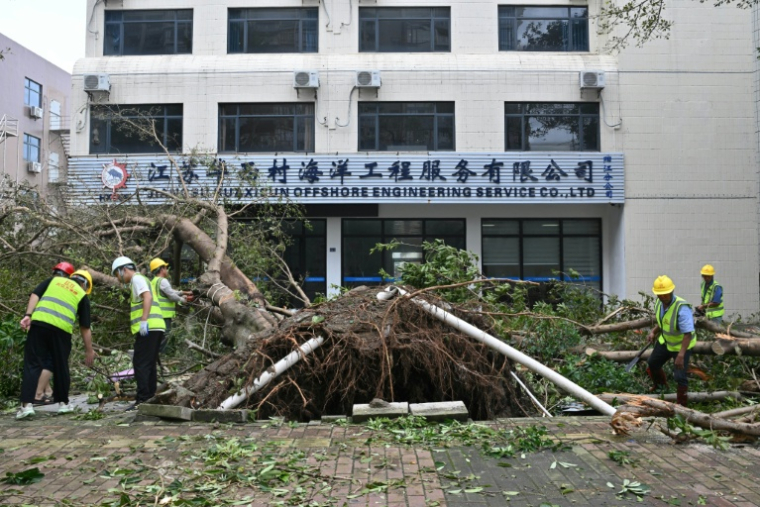 Des ouvriers dégagent un arbre tombé à terre lors du passage du super typhon Ragasa à Yangjiang, dans la province du Guangdong, dans le sud de la Chine, le 25 septembre 2025 ( AFP / ADEK BERRY )