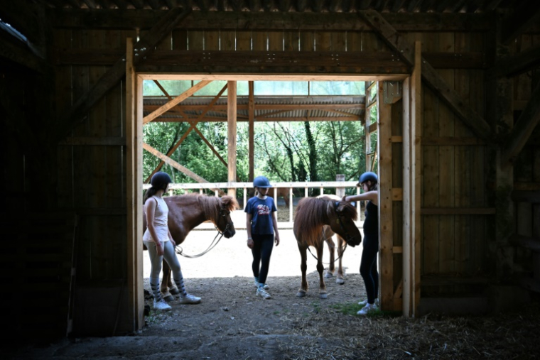 Des enfants s'occupent de poneys dans la ferme équestre de Bois Guilbert, en Seine-Maritime, le 1er juillet 2025 ( AFP / Lou BENOIST )