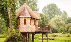 Condamné à détruire sa cabane perchée dans les arbres (Crédit Photo: Matthew Harwood - Unsplash)