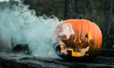 (Crédits: Unsplash - Colton Sturgeon)