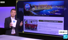 Des moustiques OGM ? Oui, mais ce n'est pas ce que montrent ces images