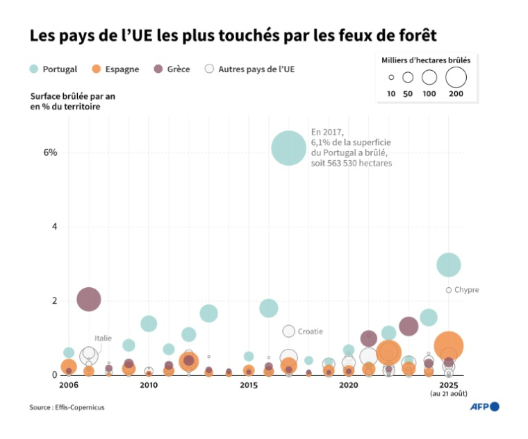 Surface brûlée par an, en part du territoire et en hectares, des 27 pays de l'Union européenne de 2006 à 2025 (au 21 août), selon les données du système européen d'information sur les feux de forêt (Effis) du programme Copernicus ( AFP / Luca MATTEUCCI )