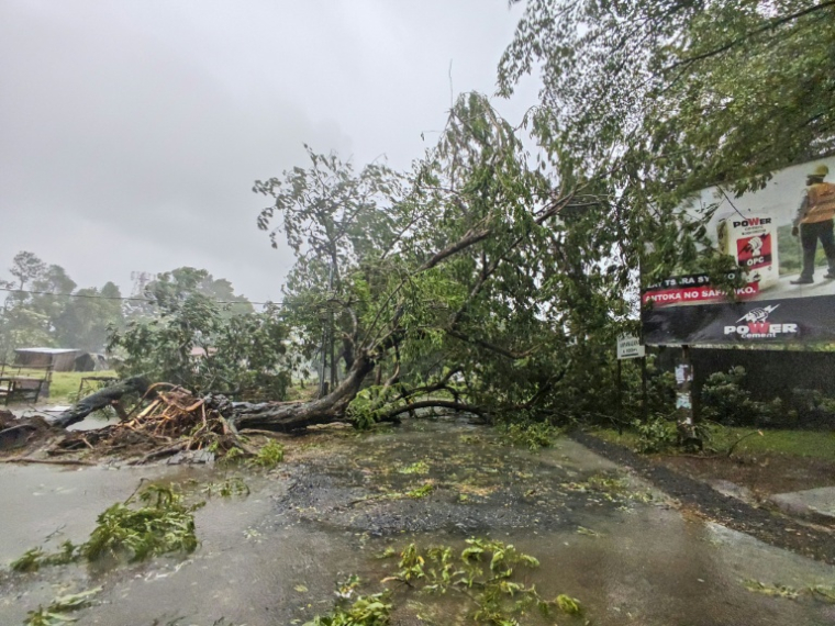 Des arbres tombés à Toamasina (ou Tamatave), touchée de plein fouet par le cyclone tropical Gezani, le 11 février 2026 à Madagascar ( AFP / Tsiky Sikonina )