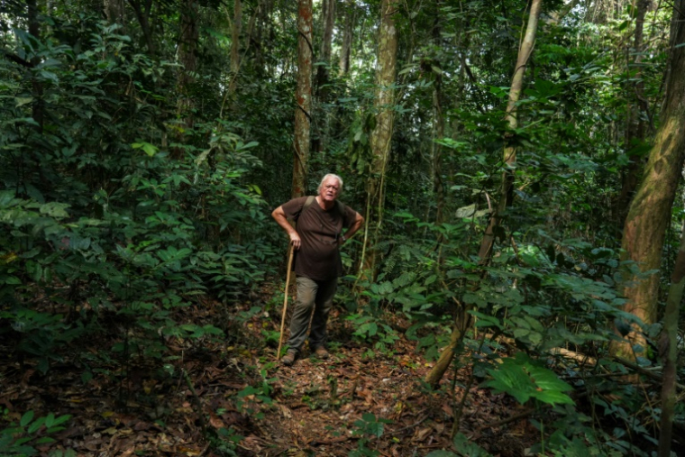 L'archéologue Richard Oslisly dans la forêt tropicale près de la grotte de Youmbidi, au Gabon, le 27 juin 2025 ( AFP / Nao Mukadi )