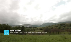 Relations Brésil-Venezuela : un rapprochement entre Lula et Nicolas Maduro ?