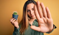 (Les cactus de la conso ont rendu leur verdict : les résultats vont-ils influencer vos achats ? - Crédit photo : Adobe Stock)
