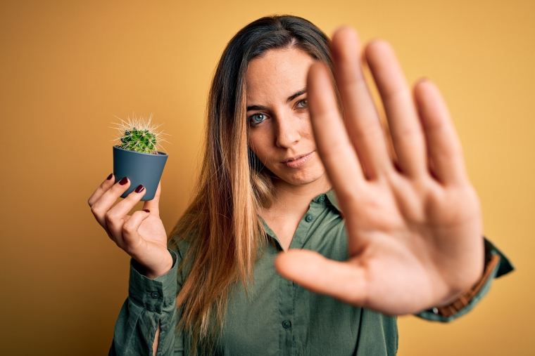 (Les cactus de la conso ont rendu leur verdict : les résultats vont-ils influencer vos achats ? - Crédit photo : Adobe Stock)