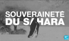 La douloureuse mémoire de la colonisation, 60 ans après la signature des accords d'Evian
