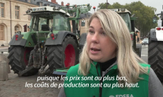 Devant le château de Versailles, une centaine d'agriculteurs alertent contre le Mercosur