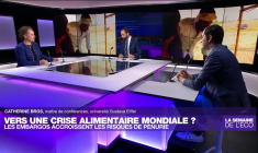 La crise du blé s'aggrave avec l'embargo indien sur les exportations