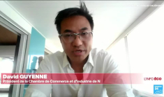 Nouvelle-Calédonie : 100 entreprises détruites, les dégâts se chiffrent déjà à 150 millions d'euros