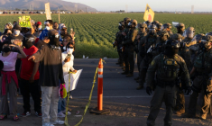 Des manifestants font face à des agents de la police fédérale de l'immigration (ICE) à Camarillo, en Californie, le 10 juillet 2025 ( AFP / BLAKE FAGAN )