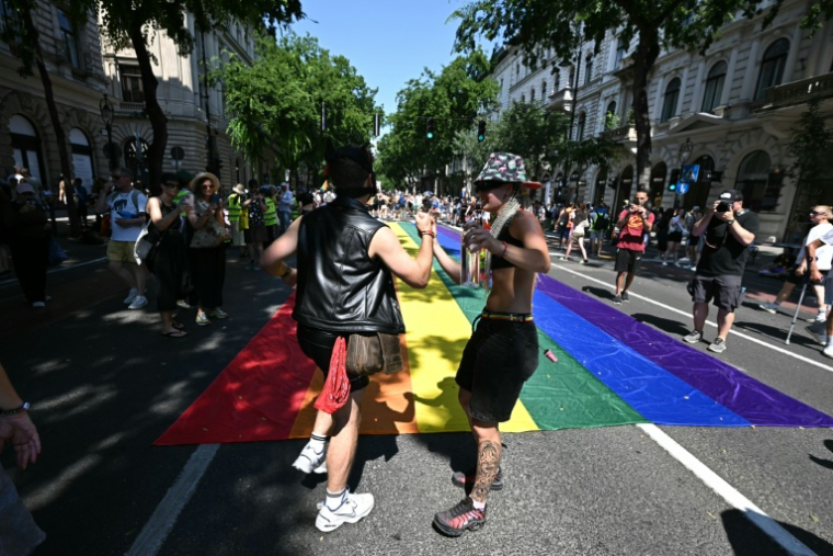 Des participants à la marche des fiertés à Budapest, le 27 juin 2026 en Hongrie ( AFP / Attila KISBENEDEK )