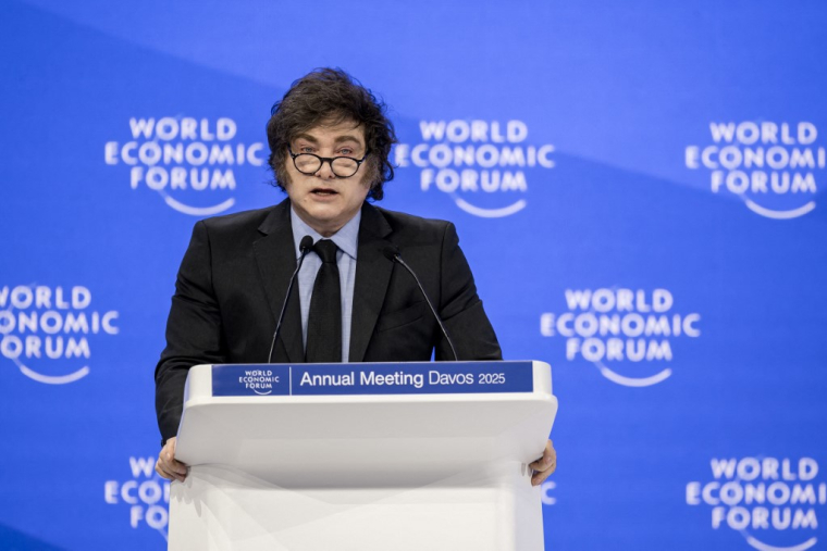 Le président argentin Javier Milei à Davos le 23 janvier 2025. ( AFP / FABRICE COFFRINI )