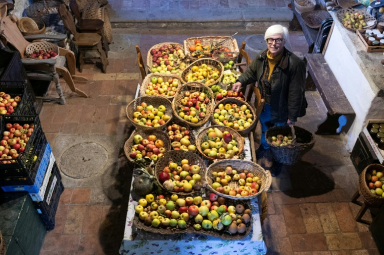 L'agronome italienne Isabella Dalla Ragione pose dans une petite église où elle entrepose des fruits cultivés par sa fondation à but non lucratif Archeologia Arboreas, à San Lorenzo di Lerchi, un hameau de Città di Castello, en Italie, le 7 novembre 2025 ( AFP / Tiziana FABI )