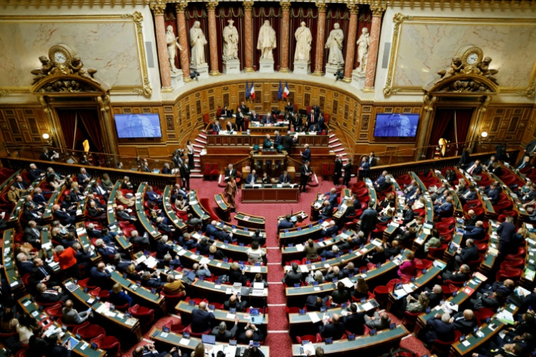 L'hémicycle du Sénat, à Paris, le 23 janvier 2025 ( AFP / Ludovic MARIN )
