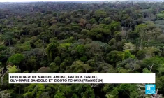 Cameroun : la chute du groupe Rougier, une bonne nouvelle pour les pygmées Baka ?