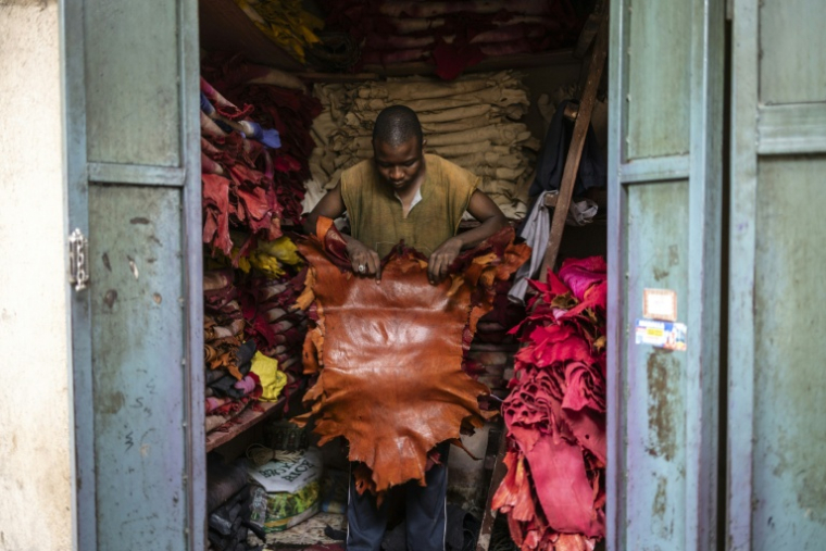 Un artisan du cuir déplie des morceaux de peaux teintes dans sa boutique du marché Kurmi à Kano, le 10 septembre 2025. Kano, centre historique du cuir, approvisionne des géants du luxe tels que Louis Vuitton, Gucci et Ralph Lauren, le Nigeria exportant près de 90 % de ses peaux à l'étranger. Mais comme la finition est effectuée en Europe, le label "Made in Nigeria" disparaît, remplacé par "Made in Italy" ou "Made in Spain". Aujourd'hui, certains créateurs nigérians tentent de redonner ses lettres de noblesse au cuir de leur pays en créant des marques locales. ( AFP / OLYMPIA DE MAISMONT )