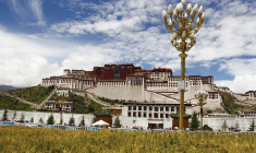 (Crédits photo :  kaowaya - Pixabay  )