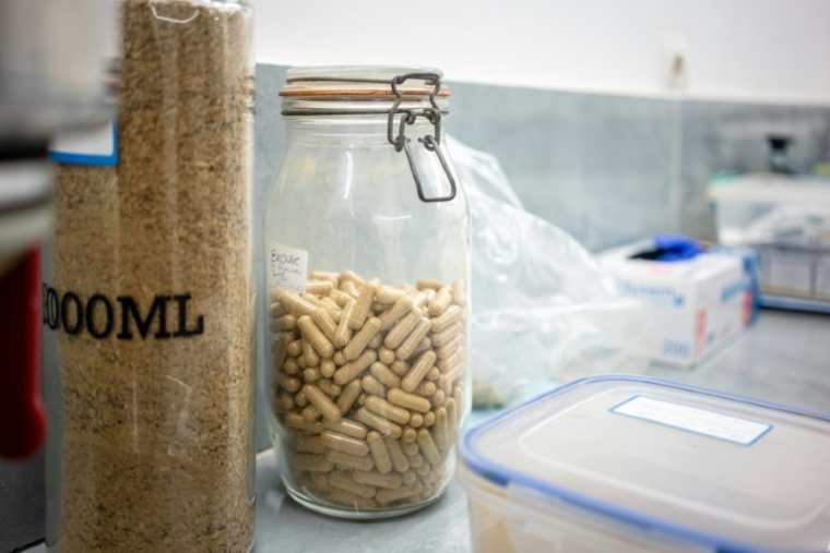 Des gélules de poudre d'iboga fabriquées par le Dr Yoan Mboussou dans un laboratoire à Akanda, le 13 février 2025 au Gabon ( AFP / Nao Mukadi )