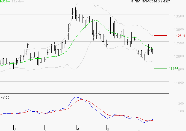 STEF : Attendre un test du support
