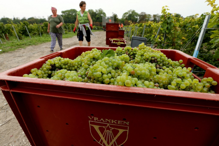 ( AFP / FRANCOIS NASCIMBENI )