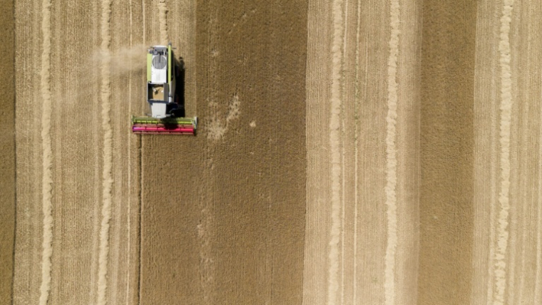 Alors que la France connaît une période de sécheresse exceptionnelle, députés et sénateurs se réunissent pour tenter d'aboutir à un compromis sur le projet de loi d'urgence agricole et ses mesures critiquées sur la gestion de l'eau et les pesticides ( AFP / Jean-Christophe VERHAEGEN )