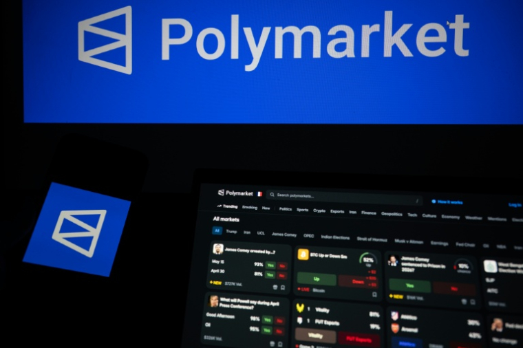 L'AFP a identifié sur les réseaux sociaux plusieurs usagers affirmant que Polymarket est plus fiable que les sondages ( AFP / Martin LELIEVRE )