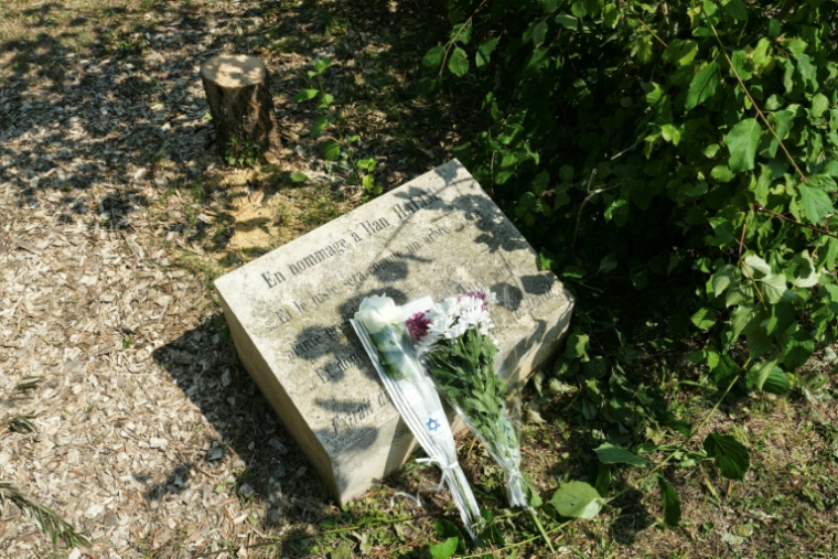 Le tronc troncçonné de l'olivier (en haut, g) planté au mémorial en hommage à Ilan Halimi à Epinay-sur-Seine le 15 août 2025, en Seine-Saint-Denis ( AFP / Dimitar DILKOFF )