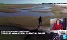 L'année 2024, une année noire pour tous les indicateurs du climat (Rapport OMM)