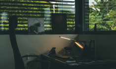 (Crédits photo : Unsplash - Rémi Bertogliati )