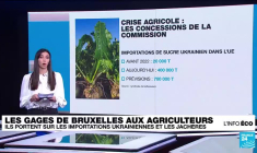 Importations d'Ukraine et jachères : les gages de la Commission européenne aux agriculteurs