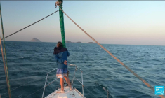 Brésil : sur les traces des baleines à bosse à Rio