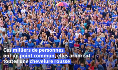 Aux Pays-Bas, les roux "en famille" lors d'un festival