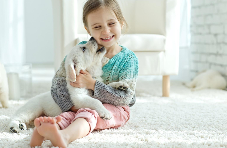 Avoir un animal de compagnie représente un certain coût. ( crédit photo : Shutterstock )