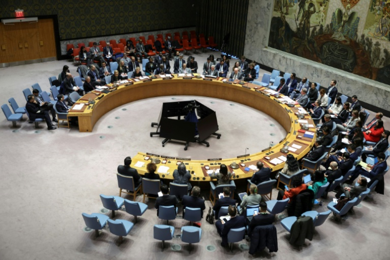 Réunion du Conseil de sécurité des Nations Unies sur la situation en Iran, le 15 janvier 2026 ( AFP / ANGELA WEISS )