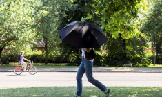 Une personne s'abrite du soleil avec un parapluie, le 22 juin 2026 à Hyde Park, à Londres ( AFP / Brook Mitchell )