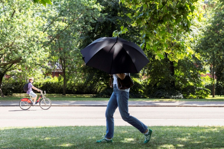 Un piéton s'abrite du soleil sous un parapluie en traversant Hyde Park, le 22 juin 2026 à Londres, lors d'un épisode de canicule ( AFP / Brook Mitchell )