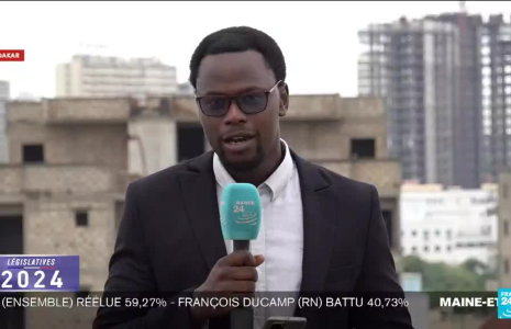 Quel résultats pour les législatives dans la 9ème circonscription, celle des Français vivant en Afrique du Nord ?