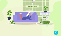 Le cannabis, une plante aux multiples usages