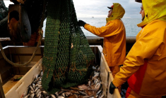 GRANDE-BRETAGNE: DES PÊCHEURS FRANÇAIS MENACENT DE BLOQUER LE PORT DE CALAIS