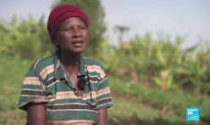 Rwanda : la consommation de lait encouragée par un programme gouvernemental